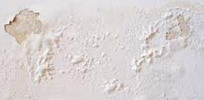 Patologias em Pinturas  - parte 1
